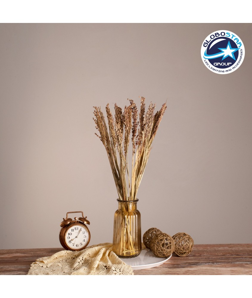 GloboStar® BROOMCORN 36540 Αποξηραμένο Φυτό Γλυκό Σόργο - Μπουκέτο Διακοσμητικών Κλαδιών Μπεζ - Καφέ Υ60cm - Σετ 20 τμχ